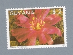 Stamps Guyana -  Lobivia Polycephala