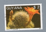 Sellos de America - Guyana -  Subutia Hyalacantha