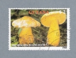 Sellos de America - Guyana -  Tricholoma Sulphureum