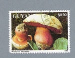 Stamps Guyana -  Boletus Satanas