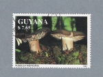 Stamps Guyana -  Russula Nigricans