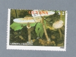 Stamps Guyana -  Lepiota Cristata