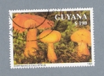 Stamps Guyana -  Cortinarius Callisteus