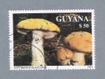 Sellos de America - Guyana -  Cortinarius Glaucopus