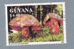 Stamps : America : Guyana :  Buletus Satanoides