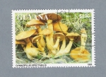 Stamps Guyana -  Gymnopilus Spectabilis