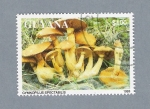 Sellos del Mundo : America : Guyana : Gymnopilus Spectabilis