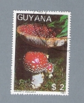 Stamps Guyana -  Amanita Muscaria