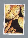 Stamps : America : Guyana :  Pholiota Squarosa