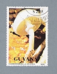 Stamps Guyana -  Oudemanseilla Mucida