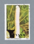 Stamps America - Guyana -  Anellaria Semiovaja