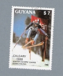 Stamps Guyana -  Olimpiadas de Calgary 1988
