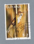 Stamps Guyana -  Pájaro Reed Warbler