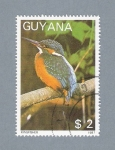 Stamps : America : Guyana :  Pájaro Kingfisher
