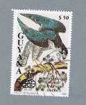 Stamps : America : Guyana :  Pájaro Falco Peregrinus