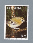Stamps : America : Guyana :  Pájaro Goldcrest