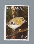 Sellos de America - Guyana -  Pájaro Goldcrest