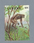 Stamps Guyana -  Mono