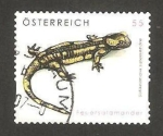 Stamps Austria -  una salamandra