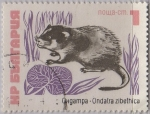 Sellos de Europa - Bulgaria -  
