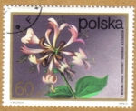Stamps Europe - Poland -  Flores