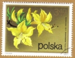 Stamps : Europe : Poland :  Flores