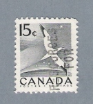 Stamps : America : Canada :  Cigueña