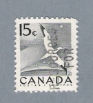 Sellos de America - Canad -  Cigueña