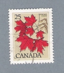 Stamps : America : Canada :  Hojas