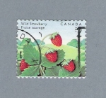 Stamps : America : Canada :  Fresas