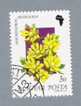 Stamps Hungary -  Flores