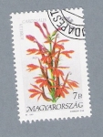 Stamps Hungary -  Flores