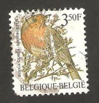 Stamps Belgium -  ave, rouge gorge