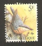 Stamps Belgium -  ave, sitelle torchepot