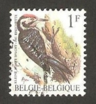 Stamps Belgium -  ave, pic epeichette