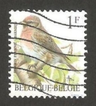 Stamps Belgium -  ave, sizerin flamme