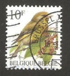 Stamps Belgium -  ave, verdier