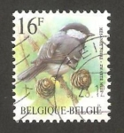 Stamps Belgium -  ave, mesange noire