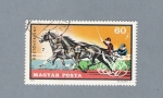 Stamps Hungary -  Carrera de caballos