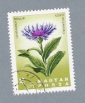 Stamps Hungary -  Planta