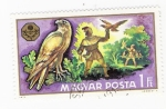 Stamps Hungary -  Pájaro Falco Peregrinus