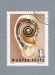 Stamps Hungary -  Oreja