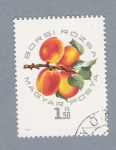 Stamps Hungary -  Fruta