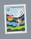 Stamps Hungary -  Peces