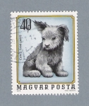Stamps Hungary -  Perrito
