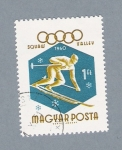 Stamps Hungary -  Esqui