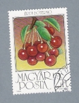 Stamps Hungary -  Cerezas