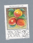 Stamps Hungary -  Fruta