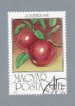 Stamps : Europe : Hungary :  Manzana