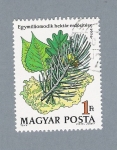 Stamps Hungary -  Plantas